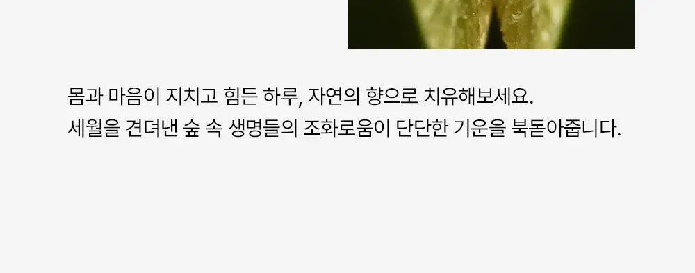 [퍼퓸케어] 슬밋 핸드 크림 30ml 3종 택1 상세페이지 22